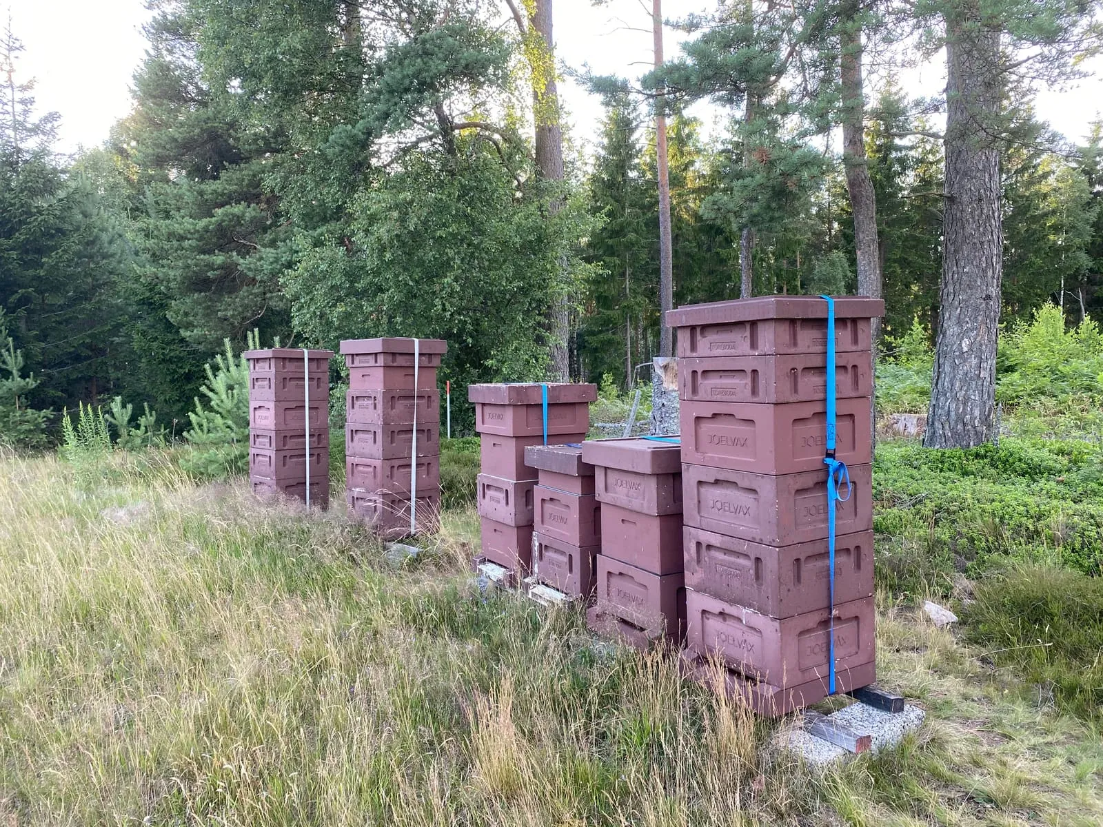 Rad med bikupor på gården